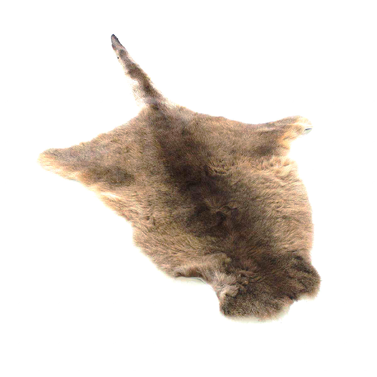 Kangaroo Rug